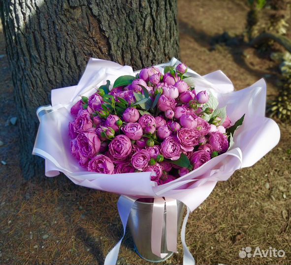 Комнатные растения цветы с доставкой