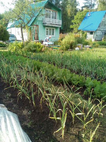 дача киров. микрорайон кировские дачи. кировские дачи. авито дача кировский. киров садовое товарищество кировмебель.