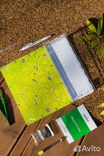 Ферма с муравьями / Формикарий