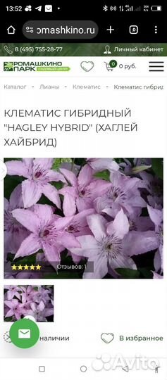 Клематисы