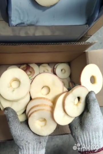 Машина удаления сердцевины и нарезки яблок