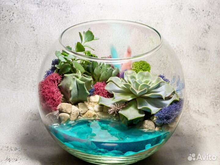 Флорариум из суккулентов с озером