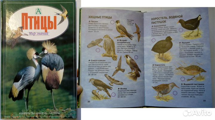 Книги для детей и школьников