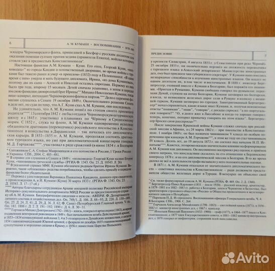 А.М. Кумани. Воспоминания. 1878-1881