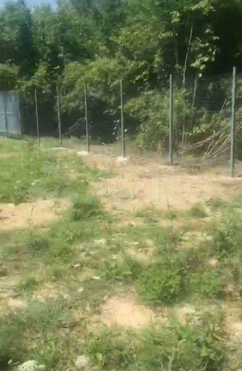 Участок 10 сот. (СНТ, ДНП)