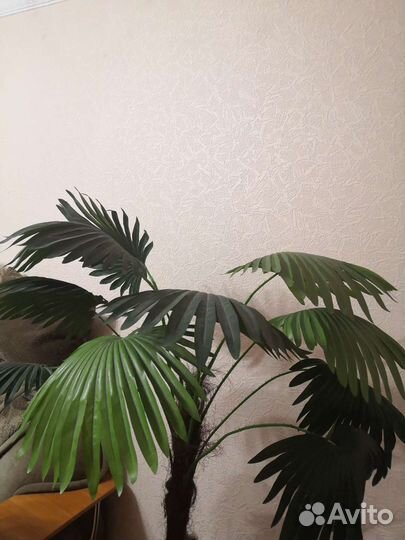 Цветок пальма искусственная