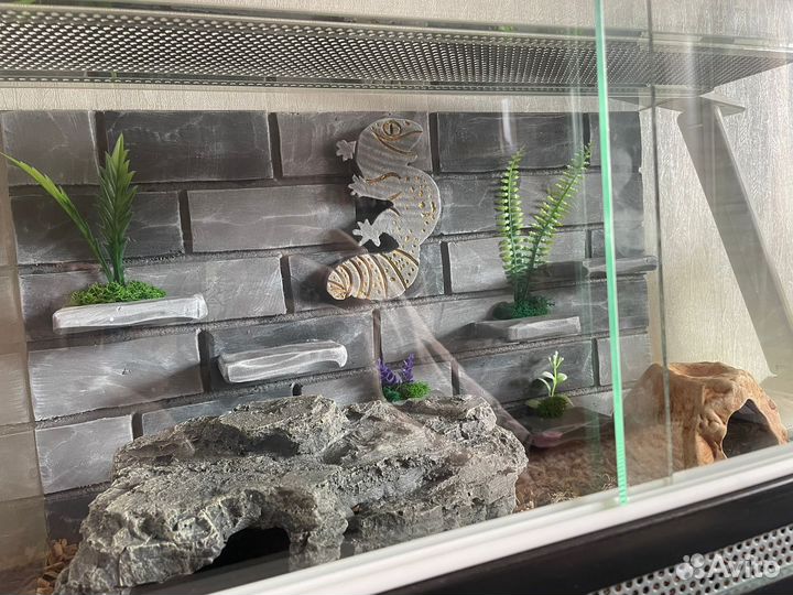 Оформление террариума 
