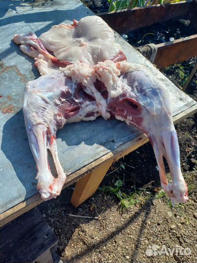 Мясо козлятина