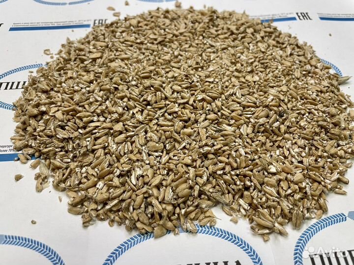 Пшеница фуражная