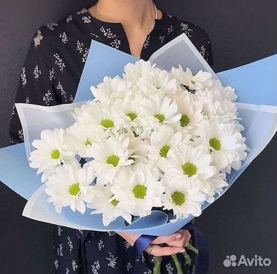 Хризантема Доставка цветов