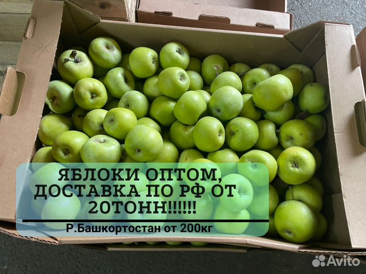 Яблоки оптом красные от 20 тонн