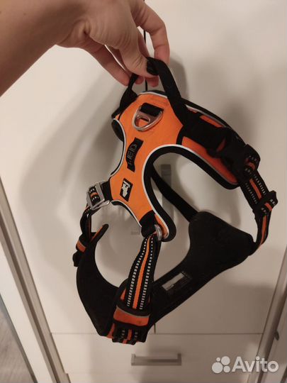 Шлейка и поводки для собак