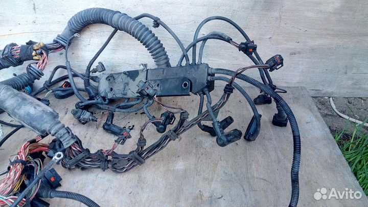 Коса моторная Y25DT M57 АКПП На Опель Омега Б