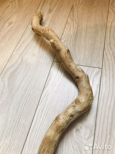 Дрифтвуд, коряга