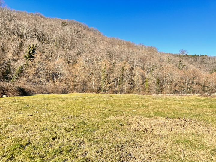 Участок 50 сот. (ИЖС)