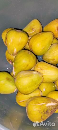 Варенье из инжира, сорт белый королевский