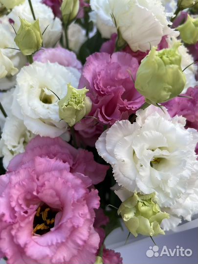 Эустома букет доставка Сочи