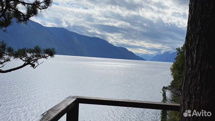 Алтай летний путевка экскурсии от 5 - 9 дн