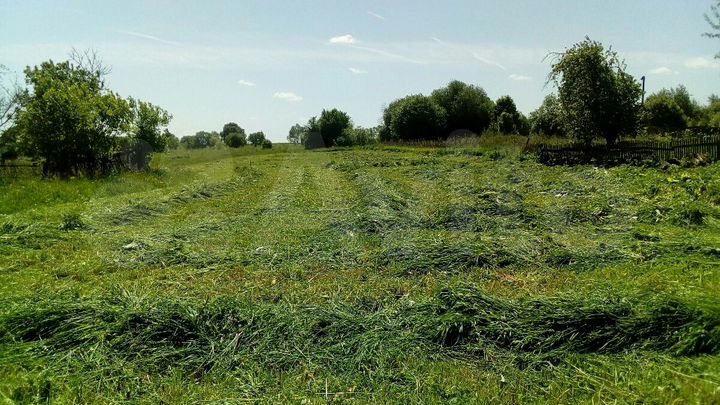 Участок 20 сот. (ИЖС)