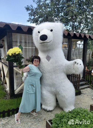 Белый мишка поздравление и Панда