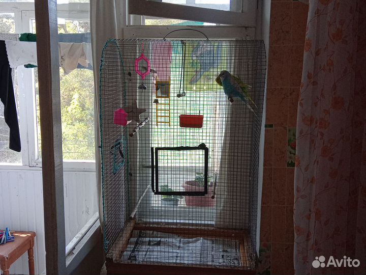 Клетка с попугайчиками.Продается