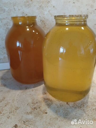 Мед Майский 2023г, гречка, липа, кориандр