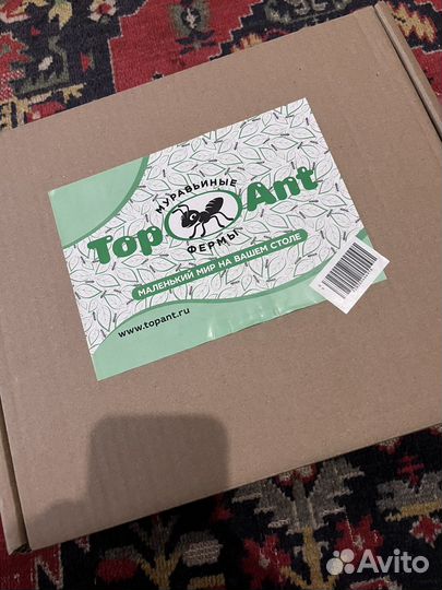 Муравьиная ферма