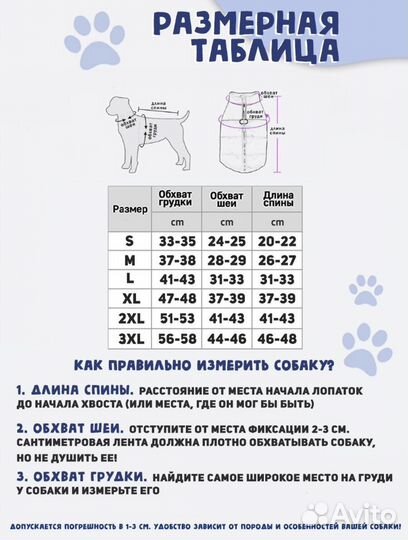 Одежда для собак