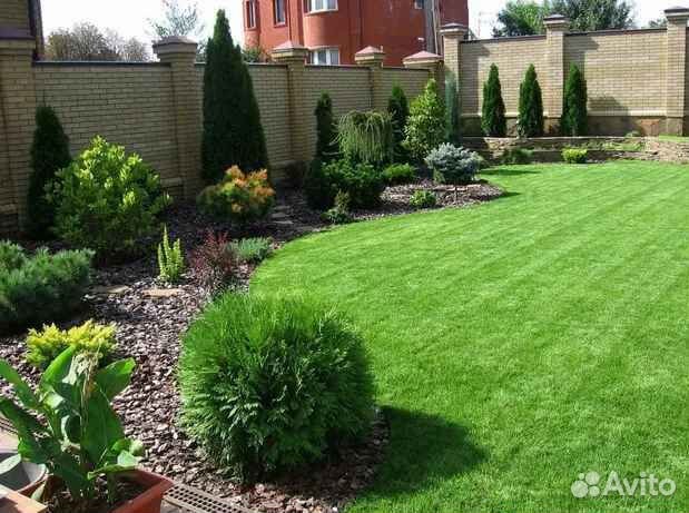 Рулонный газон от производителя