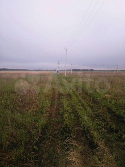 Участок 10 сот. (СНТ, ДНП)