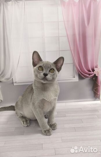 Мальчик с потрясающим характером