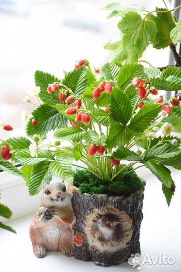 Земляника из глины