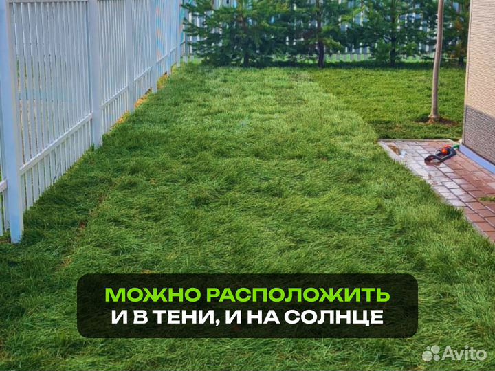 Рулонный газон. От производителя