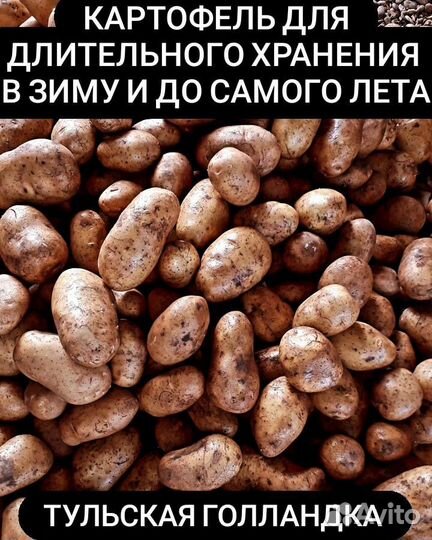 Масло подсолнечное