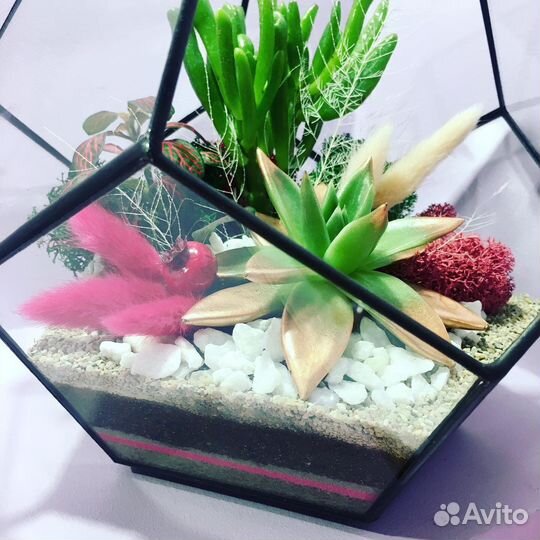 Флорариум с живыми цветами