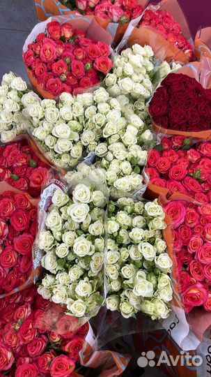 Цветы розы кустовые розы хризантемы подсолнух