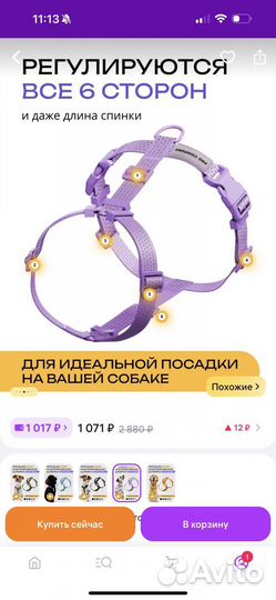 Шлейка для маленькой собаки