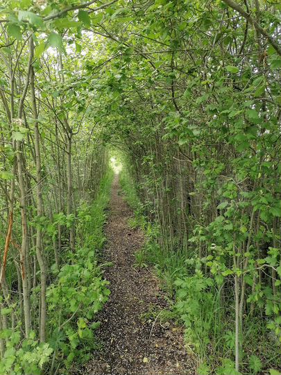 Участок 28 сот. (ИЖС)