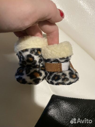 Ботинки для маленьких собак