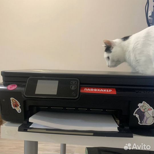 HP DeskJet Ink Advantage 5525 (Принтер/ Копир/ Ска