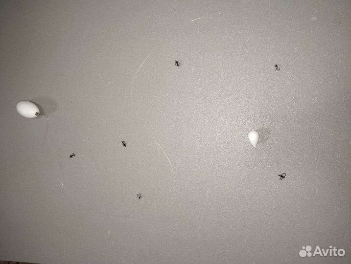 Сплетня на хариуса 5 мух