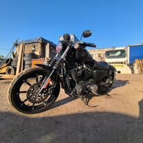 Harley davidson sportster 883 iron