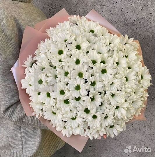 Хризантема. Букеты Цветы доставка