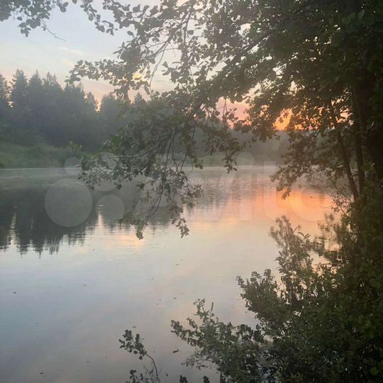 Дом 80 м² на участке 5,5 га