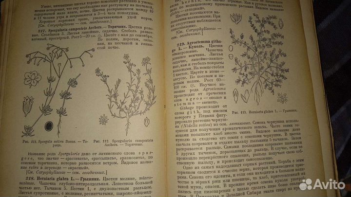 Определитель растений,М. И. Нейштадт