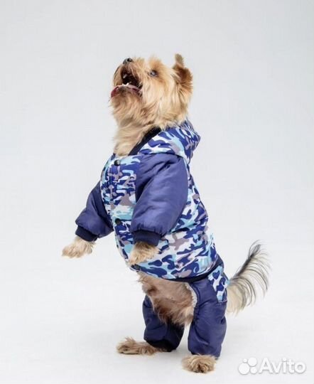 Новый комбинезон зимний для собак