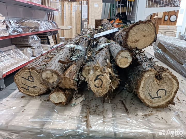 Можжевельник стволы спилы панно за 1 килограмм