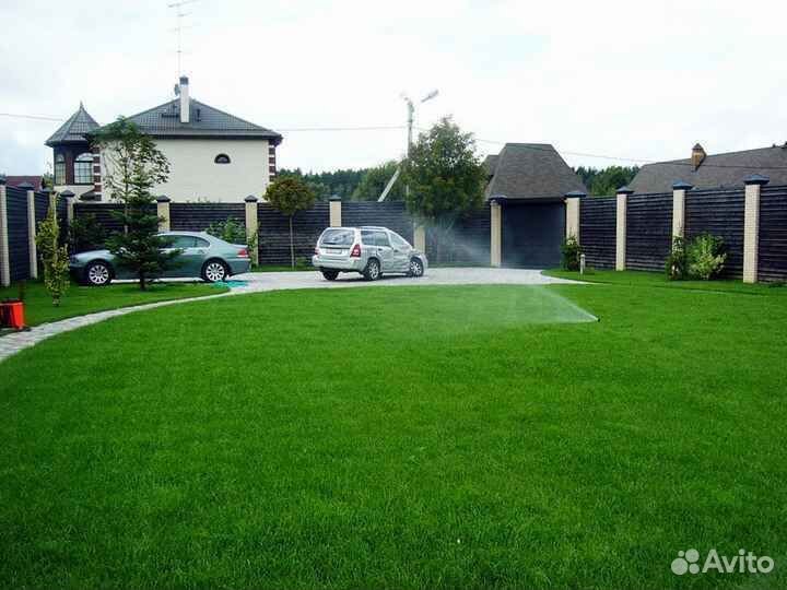 Рулонный газон /продажа/укладка