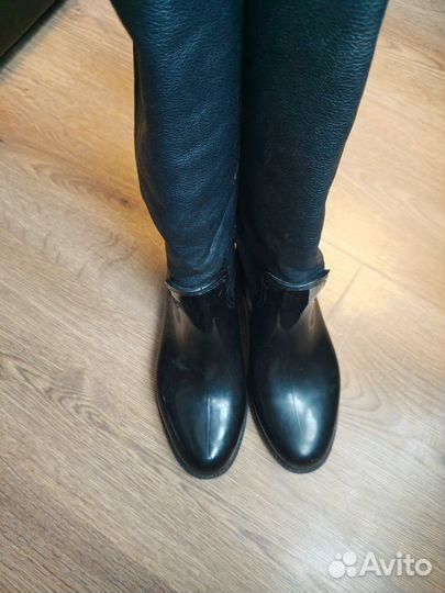Сапоги женские baldinini 37