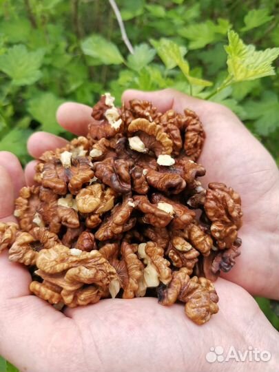 Грецкий орех лесной настоящий очищенный